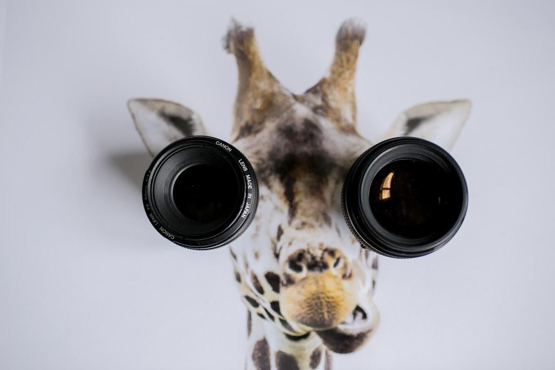 Discover the Benefits of Progressive vs Bifocal Lenses