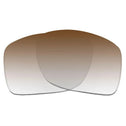 Oakley Big Taco-Sunglass Lenses-Seek Optics