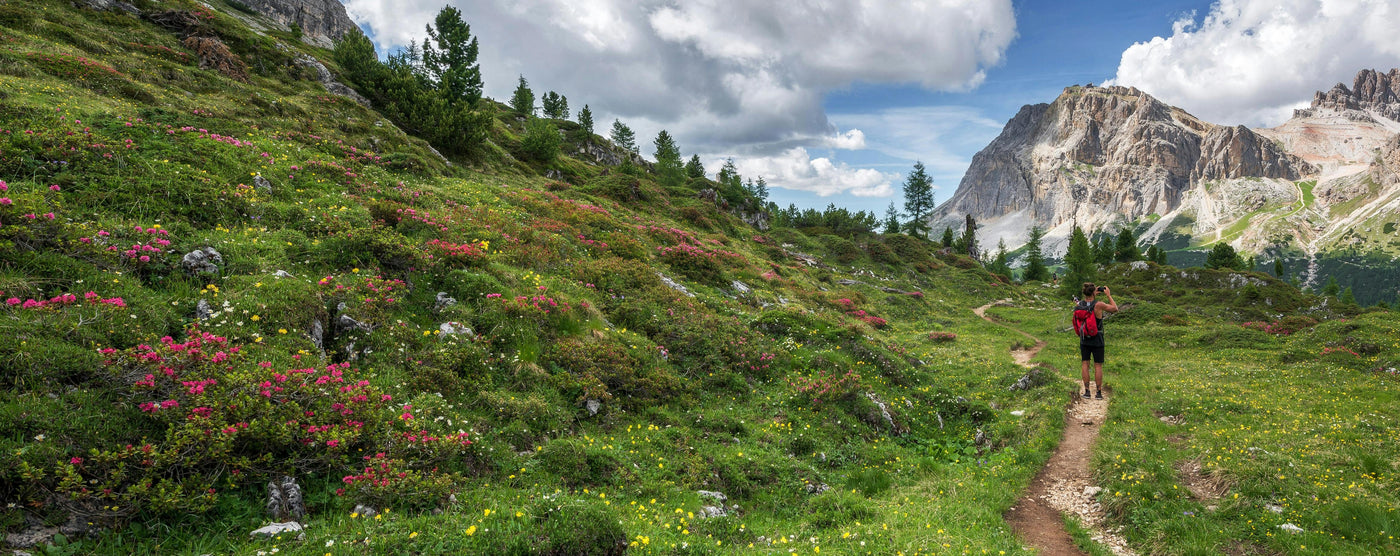 hiker taking a picture of a mountain while hiking down a flowery path